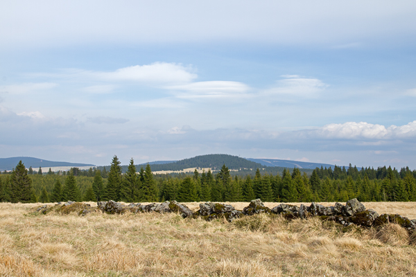 Lebensraum des Birkwildes, Tschechien