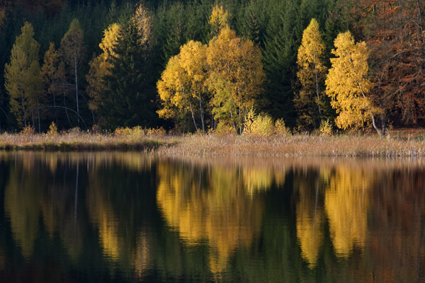 Herbststimmung am Albertsee, Wartburgkreis