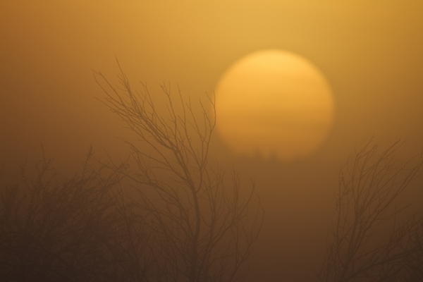 Sonnenaufgang, Sol
