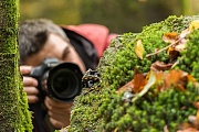 Im Reich der Feuersalamander, Danke an Wolfgang Hock für die Aufnahme