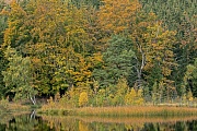 Herbststimmung am Albertsee, Wartburgkreis