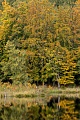 Herbststimmung am Albertsee, Wartburgkreis