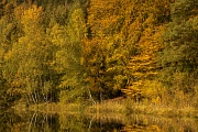 Herbststimmung am Albertsee, Wartburgkreis