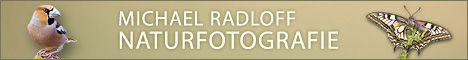 Banner - Radloff Naturfotografie